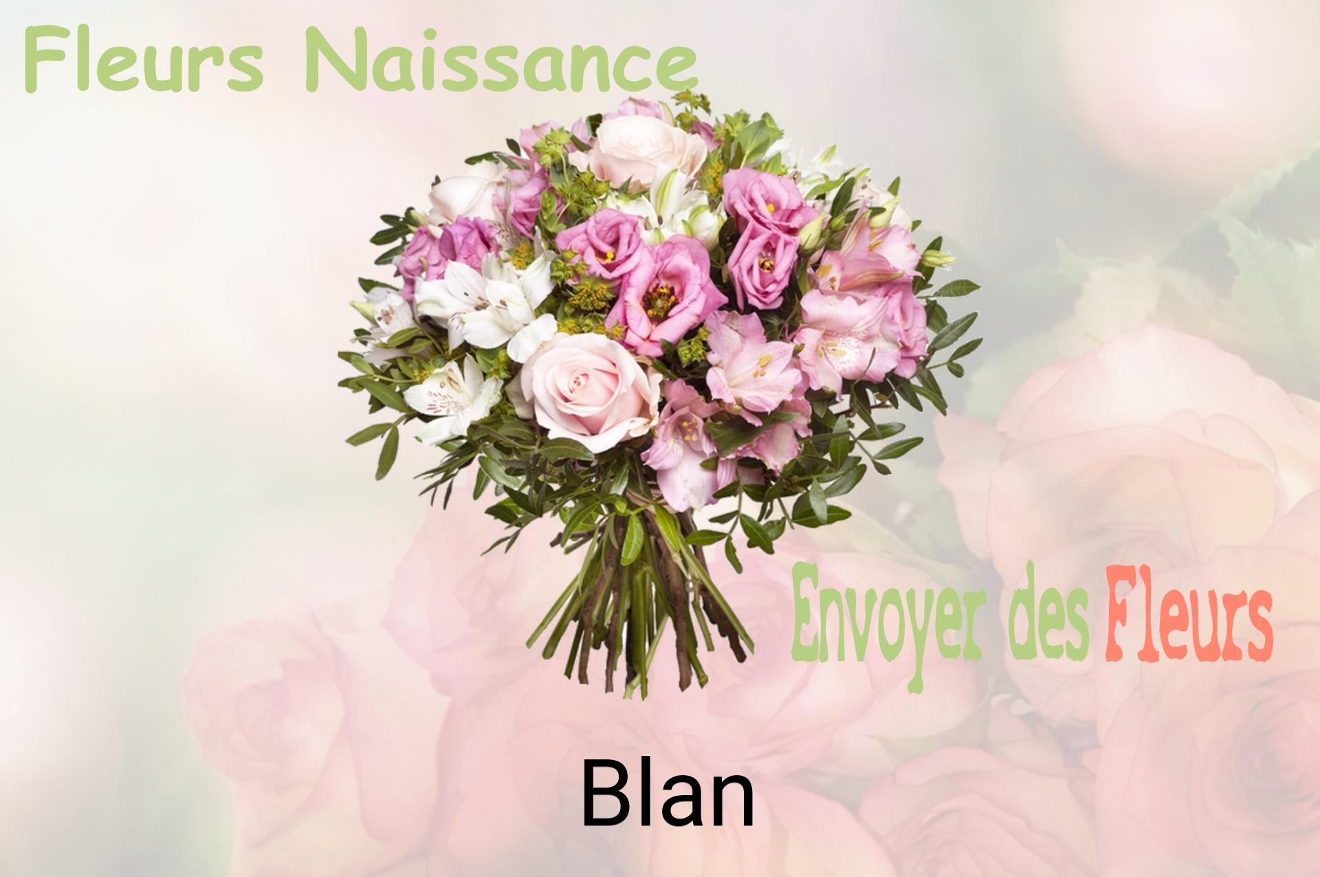 Bouquet de fleurs de naissance livré à Blan